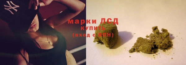 твердый Майский